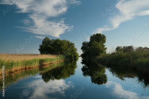 Reflections in the Danube Delta. River channel near Crișan, Romania. 