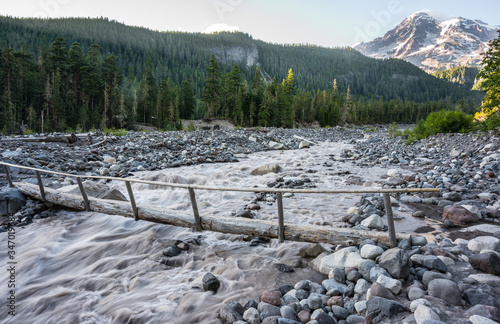Slika na platnu Stream crossing on the Carter Falls Trail in Mount Rainier National Park
