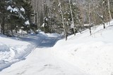 Road through the Snow