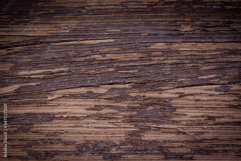 Fototapeta premium Old Brown Wood