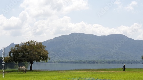 landscape with lake and mountains