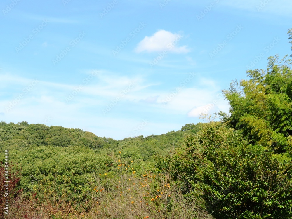 日本の田舎の風景　10月　山の木々と青空