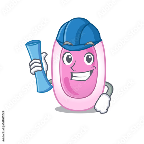 Cartoon character of bordetela pertussis brainy Architect with blue prints and blue helmet