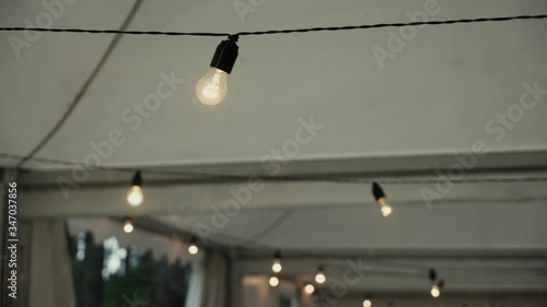 Designer Edison Bulb Light-Slow Motion