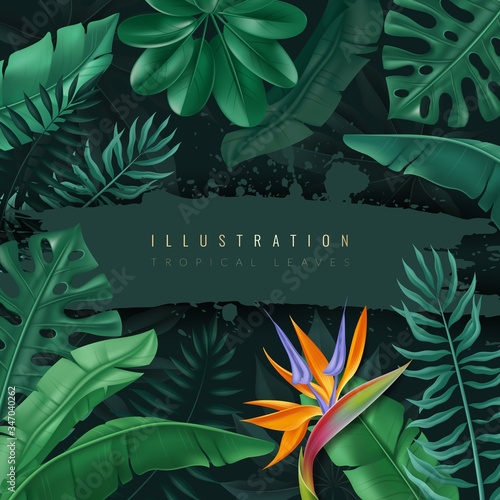 Tropical leaves illustration