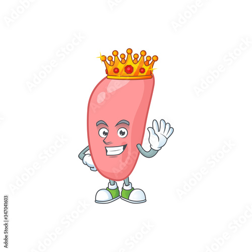 The Charismatic King of neisseria gonorhoeae cartoon character design wearing gold crown