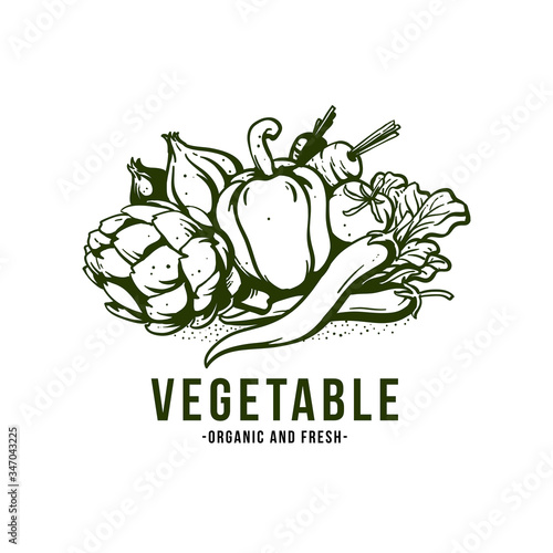 vegetable logo design