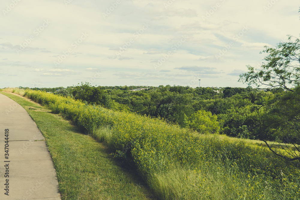 A hill with a concrete path in a city park on a sunny spring day.