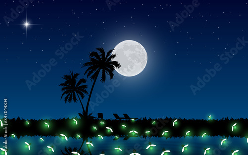 firefly at the swamp on mountain in the full moon night 