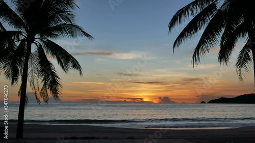 moving silhouette leaves branch coconut tree, sea water wave hit sand shore beach, mountain long distance, beautiful cloudy evening golden twilight sky background after sunset time, nobody