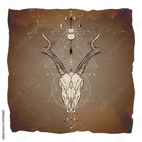 Vector illustration with hand drawn antelope skull, spider and Sacred geometric symbol on vintage paper background with torn edges. Abstract mystic sign. Image in sepia and red color. 