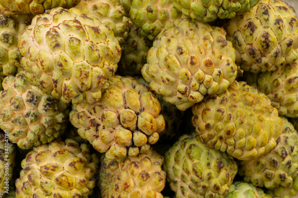 Custard apple fruits, Annona reticulata, are on display for sale at New Market area, Kolkata, West Bengal, India. Custard apple fruits, Annona reticulata, are on display for sale at New Market area, Kolkata, West Bengal, India.