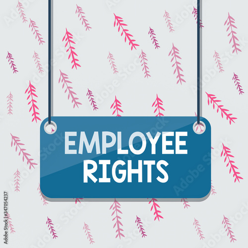 Handwriting text Employee Rights. Conceptual photo All employees have basic rights in their own workplace Board color background plank attached string panel rectangle empty surface photo