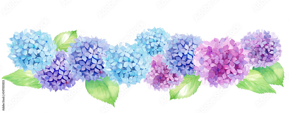 並ぶカラフルなあじさいのボーダーライン 水彩イラスト Stock Illustration Adobe Stock