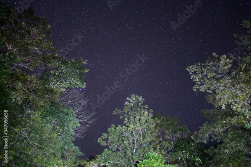 coral reef in the night