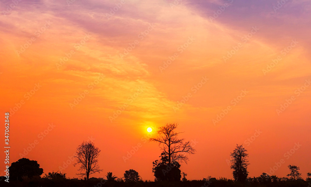 Dramatic sunrise with silhouette trees landscape view