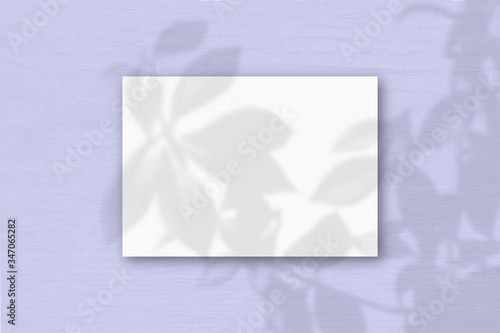 A horizontal A4 sheet of white textured paper on the lilac wall background. Mockup overlay with the plant shadows. Natural light casts shadows from an exotic plant. Horizontal orientation © Natika_art