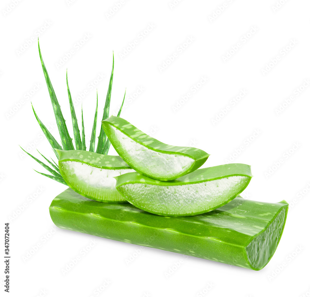 Aloe vera slice on white background. Aloe vera slice on white background.