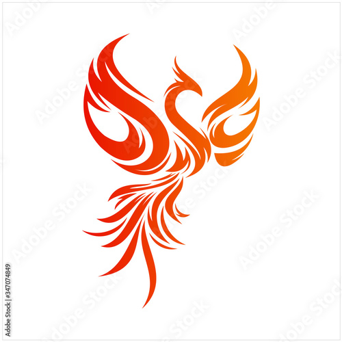 Flying Phoenix Fire Bird abstract Logo design vector template. Dove Eagle Logotype concept icon photo