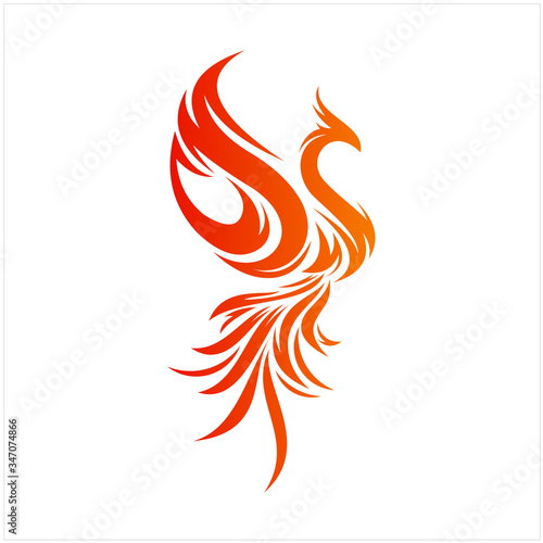 Flying Phoenix Fire Bird abstract Logo design vector template. Dove Eagle Logotype concept icon