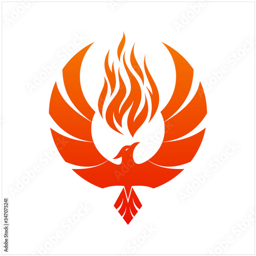 Flying Phoenix Fire Bird abstract Logo design vector template. Dove Eagle Logotype concept icon