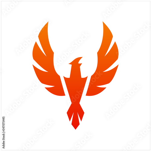 Flying Phoenix Fire Bird abstract Logo design vector template. Dove Eagle Logotype concept icon