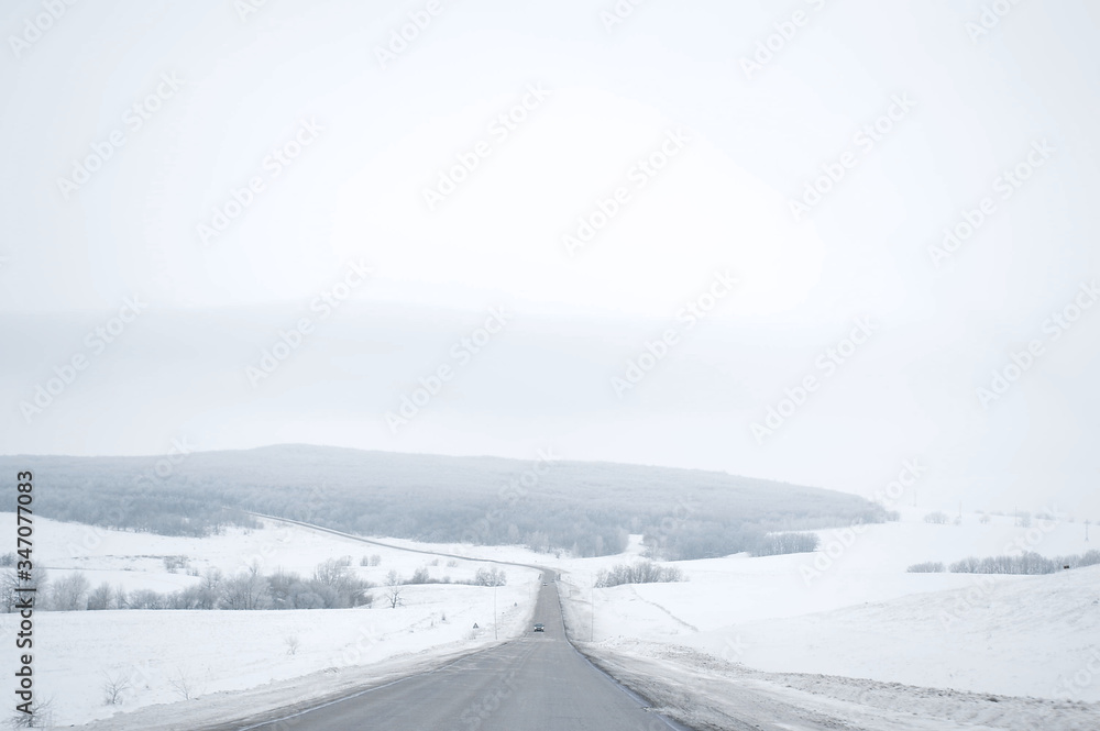 snow covered trees, snow covered road, snow covered road in the forest