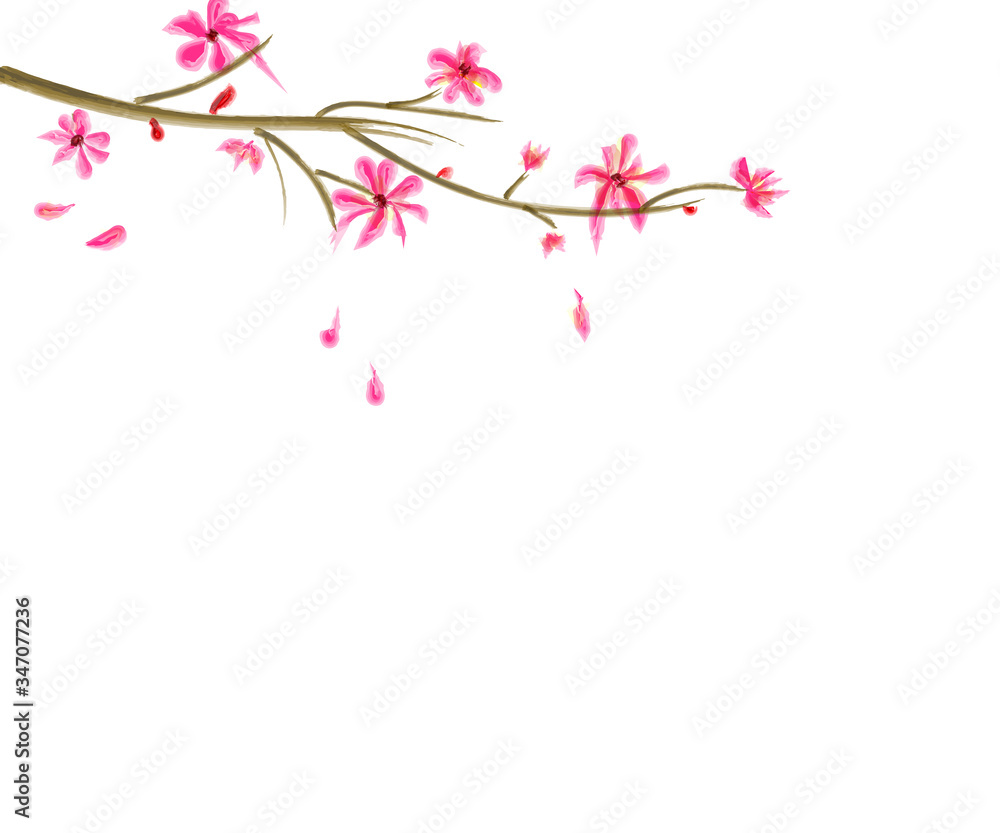 spring blossom flower on white background spring blossom flower on white background