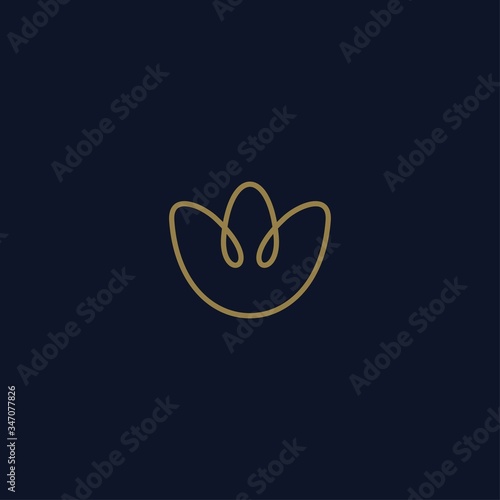 Luxury floral logo design. Ornament flower abstract vector © priyo