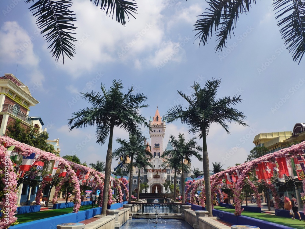 Obraz premium palm tree in the park