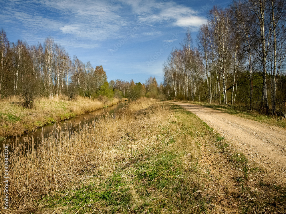 spring landscape with road and river next to it, the first bright spring greenery spring landscape with road and river next to it, the first bright spring greenery