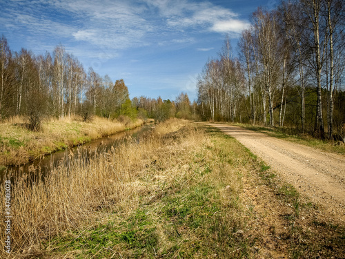 spring landscape with road and river next to it, the first bright spring greenery