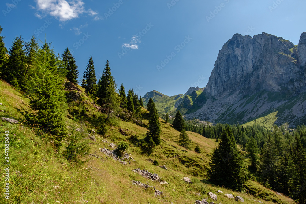 Summer day trekking in the Carnic Alps, Friuli Venezia-Giulia, Italy