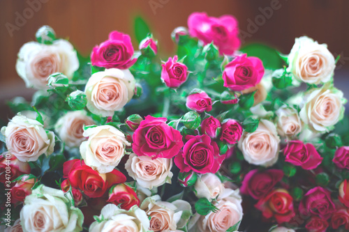 Beautiful fresh spring roses. best background for your design