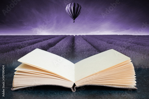 Conceptual composite open b...
