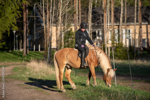 Woman horsebeck riding in forest © citikka