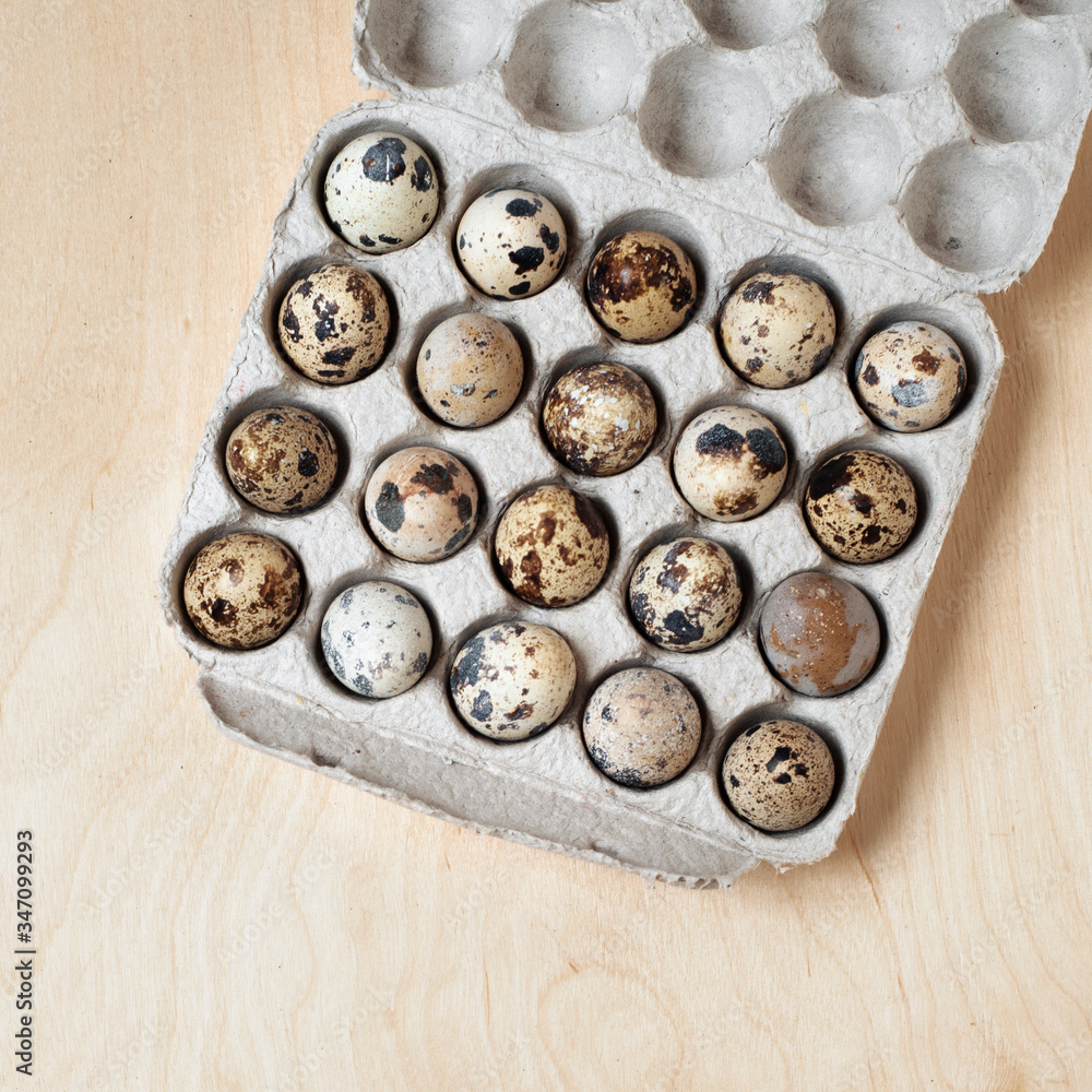 quail eggs in a box quail eggs in a box