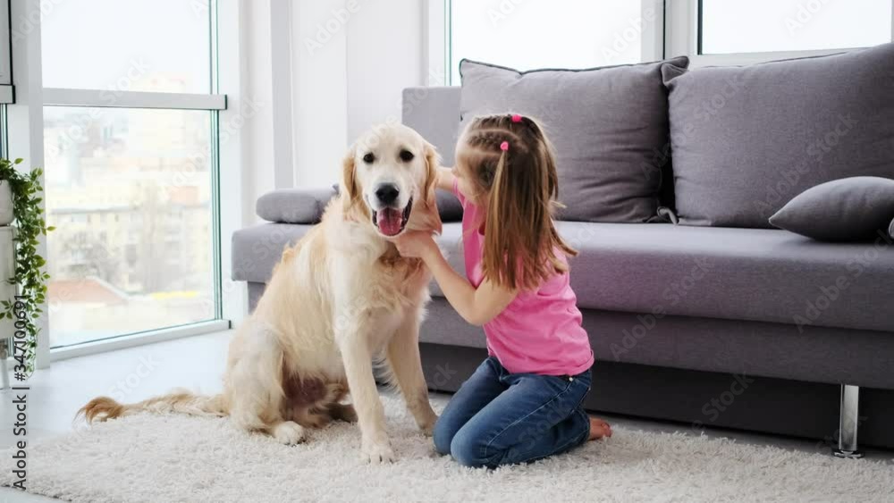 Pretty little girl hugging cute domestic dog in bright room Pretty little girl hugging cute domestic dog in bright room