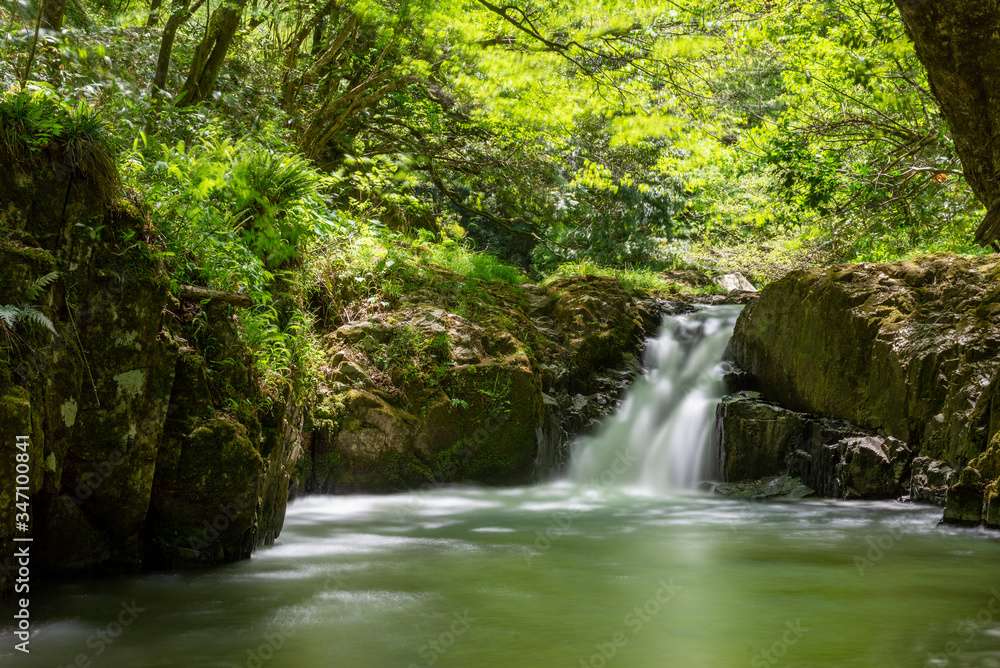 春の渓流と滝