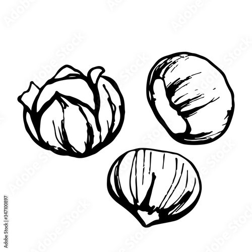 Chestnut roasted. Graphic illustration, Hand drawn sketch, three elements