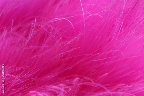 Beautiful abstract pink purple feathers macro view. Soft pink background. Pink feather texture  
