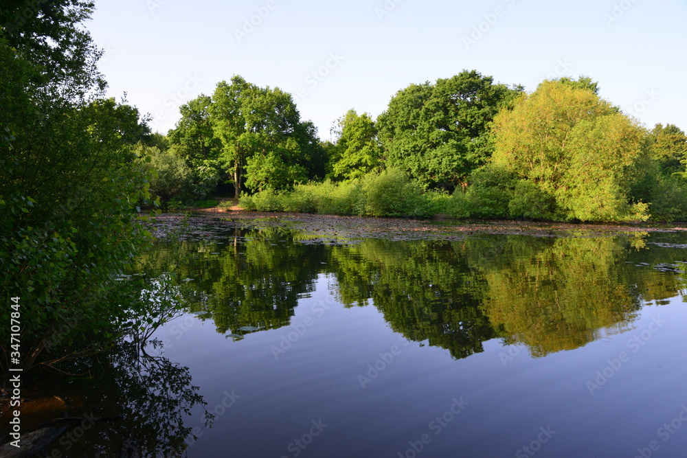 Fototapeta premium Riverside Park in Horley, Surrey in May.