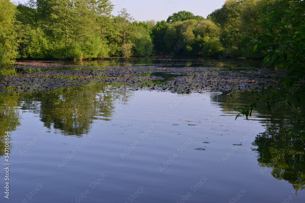 Riverside Park in Horley, Surrey in May.
