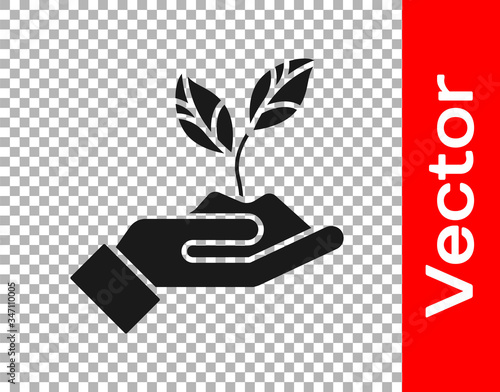 Black Plant in hand of environmental protection icon isolated on transparent background. Seed and seedling. Planting sapling.  Vector Illustration