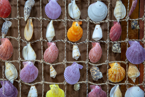 colorful handmade shells