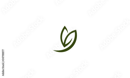 green leaf isolated