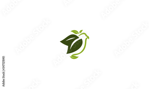 leaf fresh logo