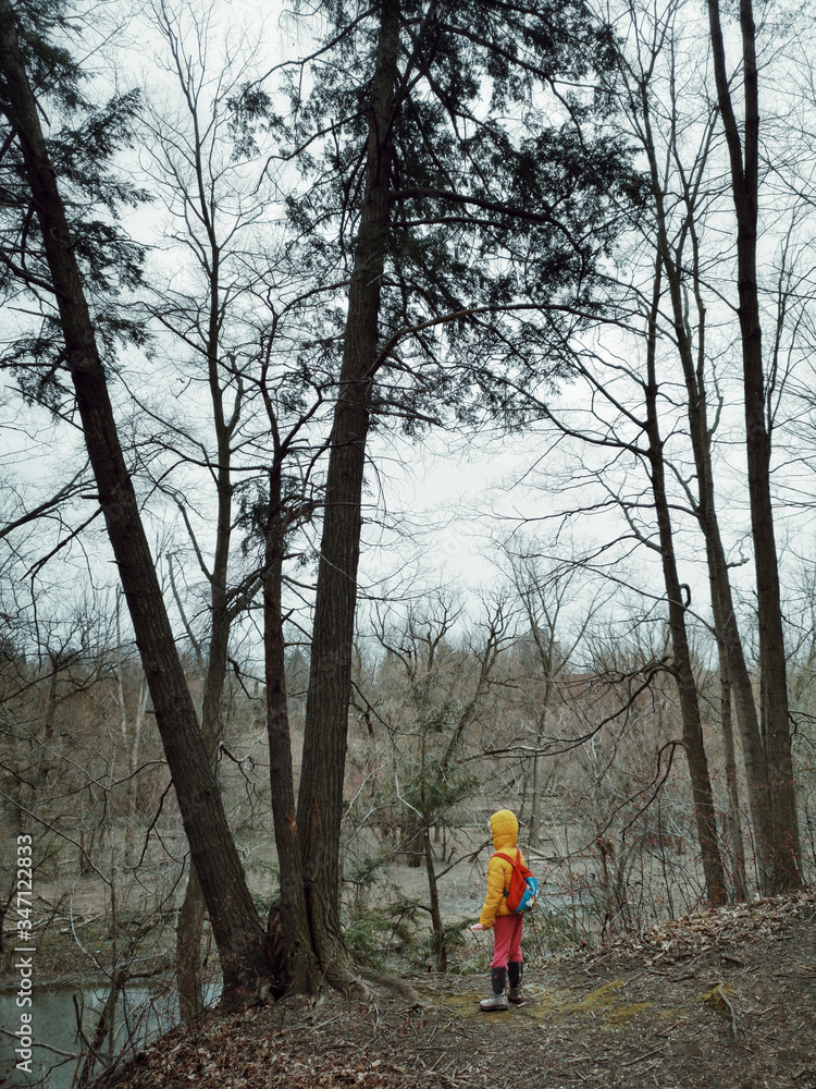 Obraz premium Child girl with backpack standing in the woods. Kid hiking on trail in wild forest with backpack on a spring summer autumn day. Solo traveler adventurer. Vew from back behind.