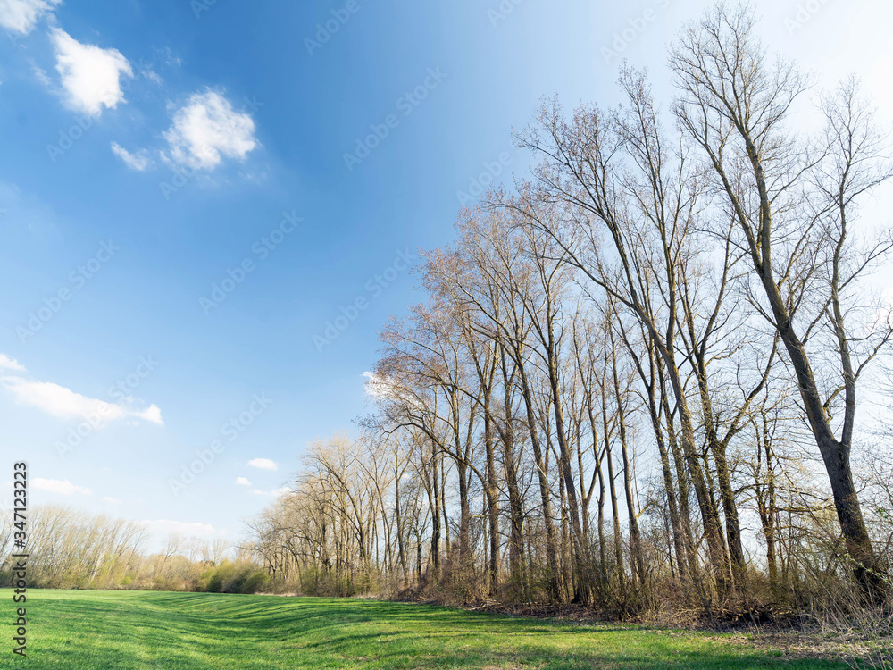 Fototapeta premium Landschaft Oberelchingen