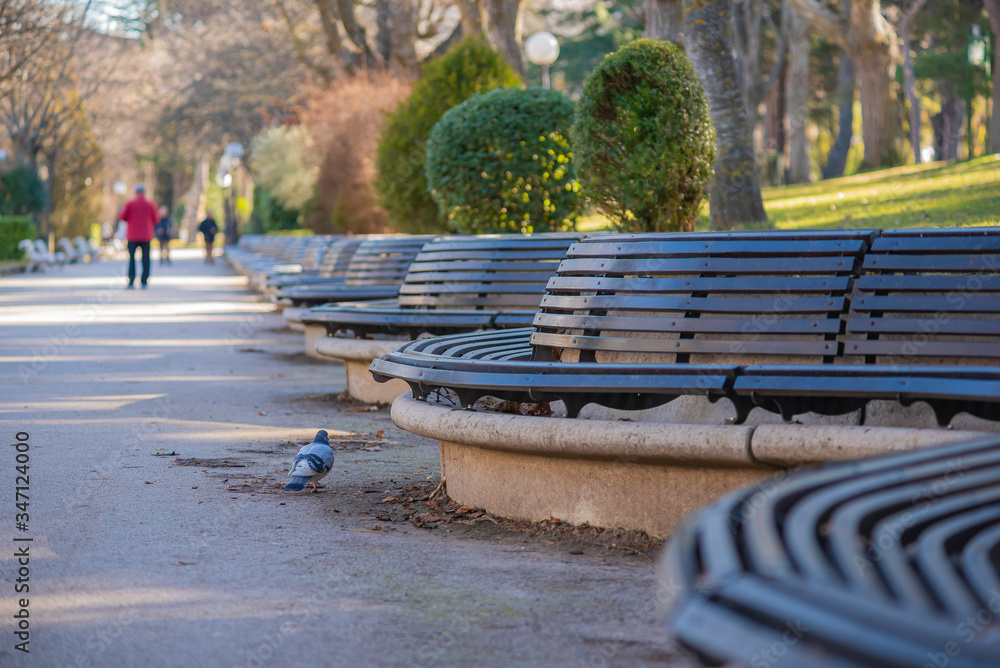 Obraz premium Wooden benches in park of Alameda de Cervantes (Soria, Spain).